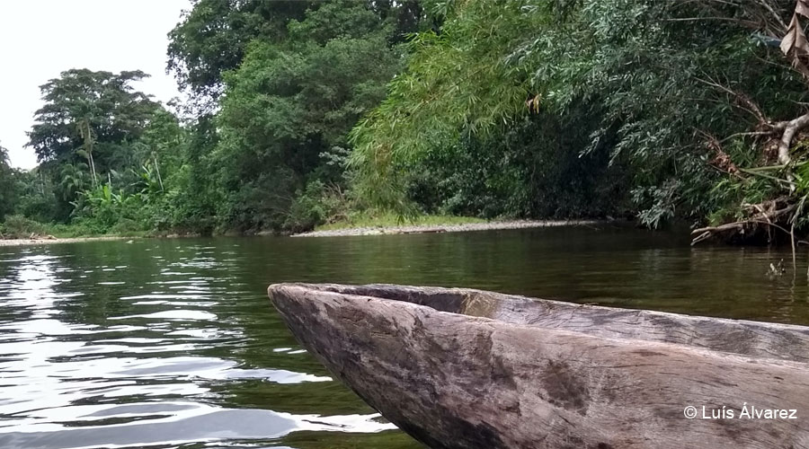 Travesía Pacífico: entre ríos, cascadas y selva