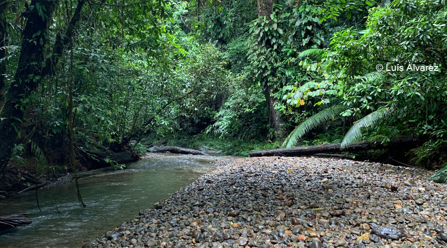 Travesía Pacífico: entre ríos, cascadas y selva