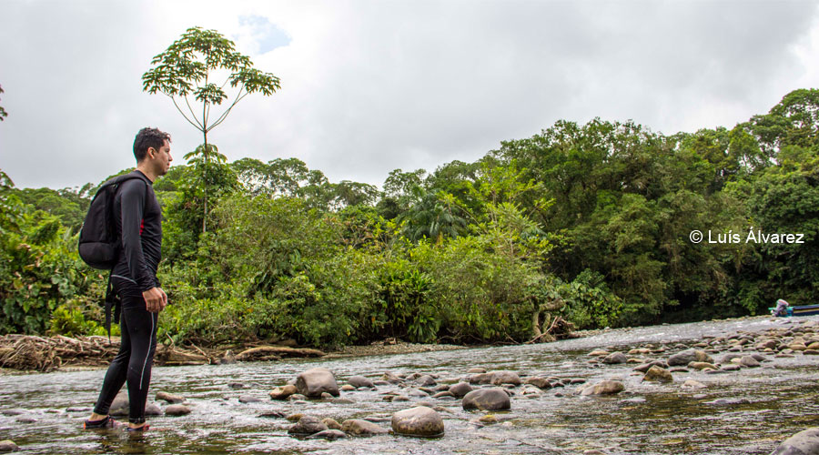 Travesía Pacífico: entre ríos, cascadas y selva