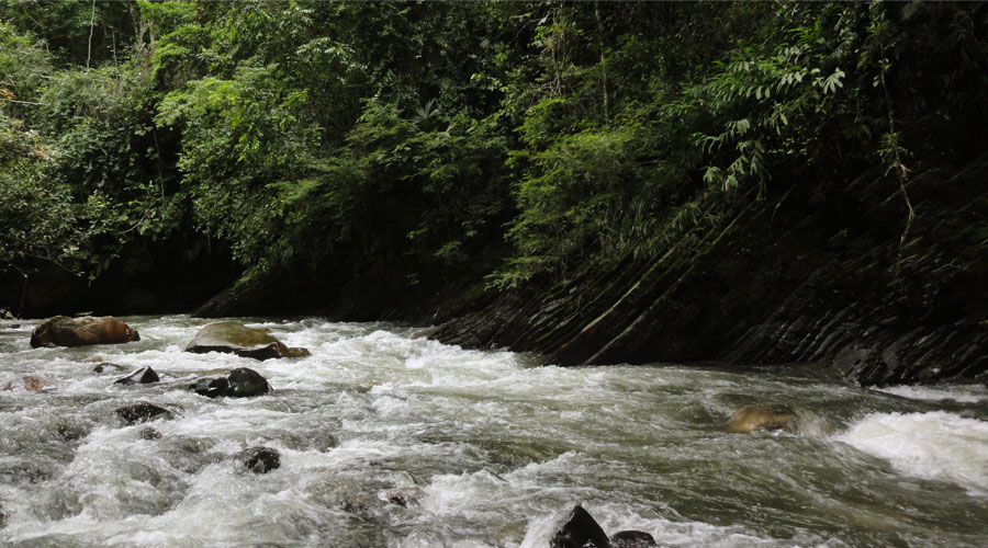 Rivering Río Claro