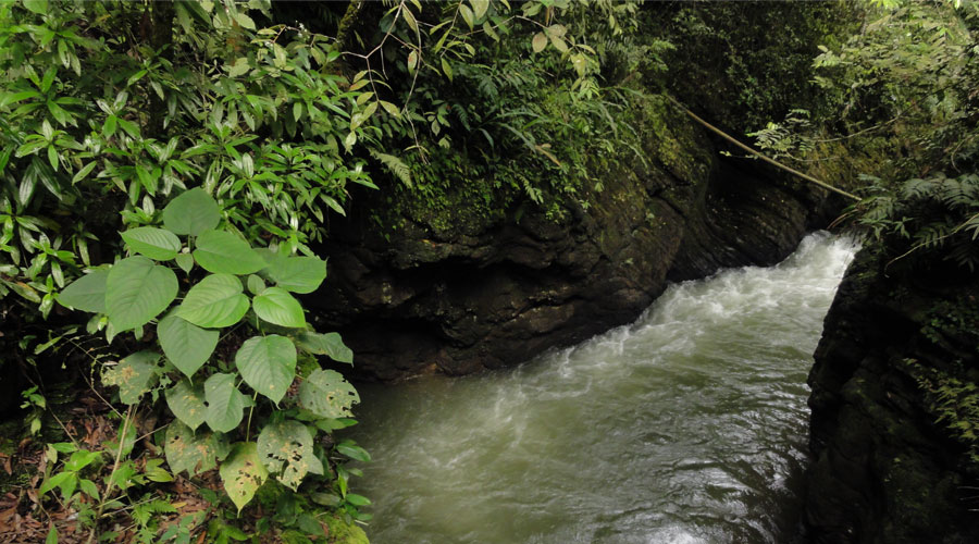 Rivering Río Claro