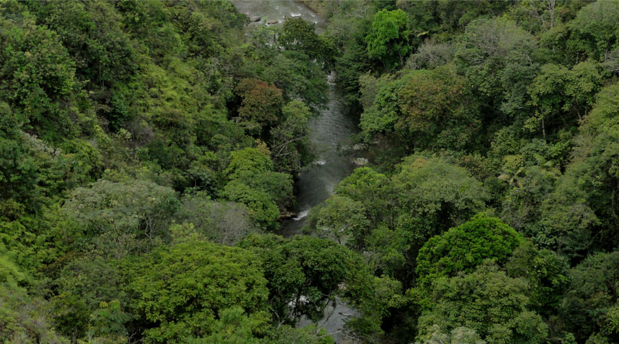 Rivering Río Claro