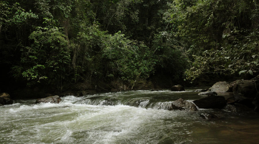Rivering Río Claro