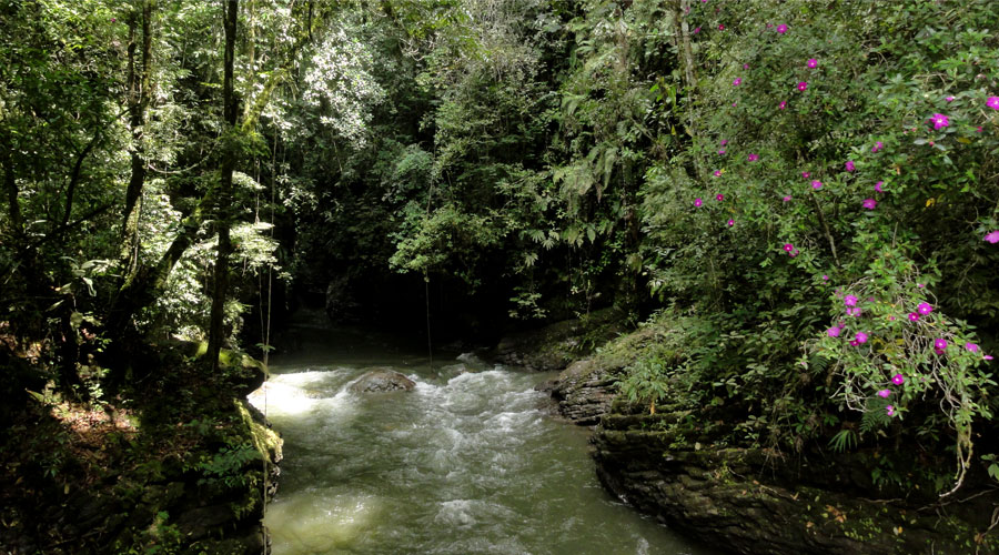 Rivering Río Claro