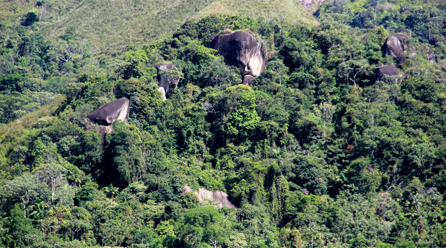 Petroglifos de Timba