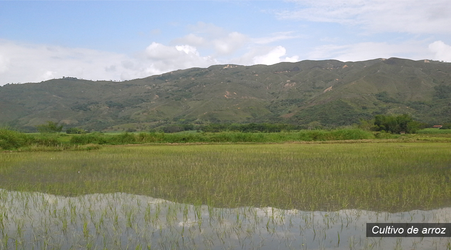 Petroglifos de Timba