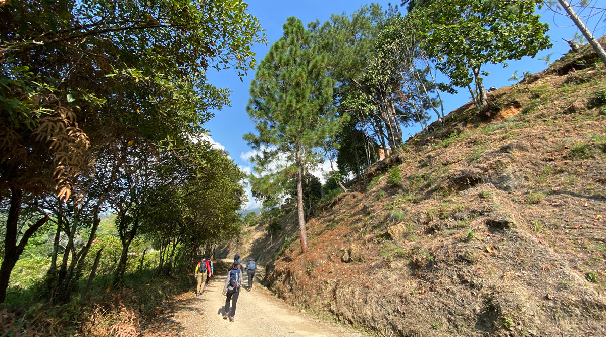 Preparación Valle Camina