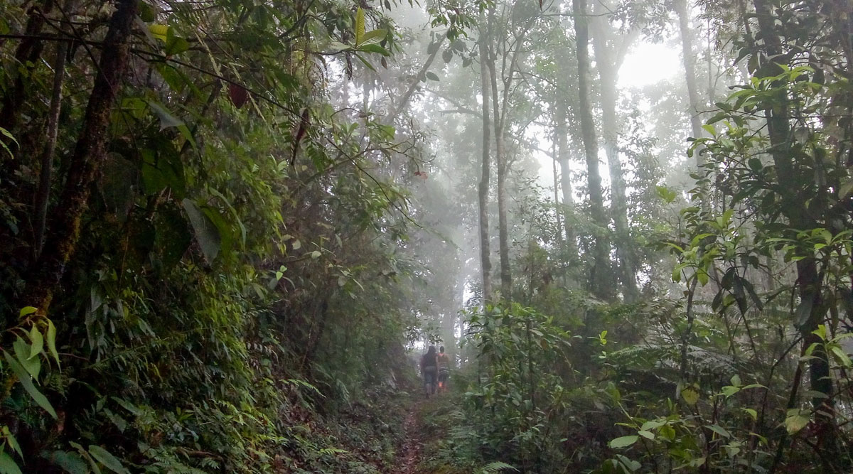 El Robledal