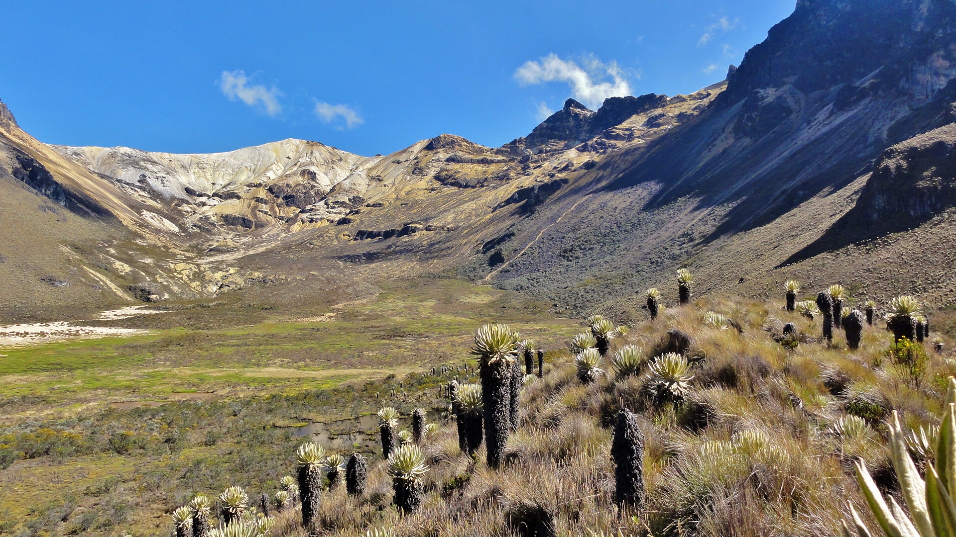 Andar en montaña