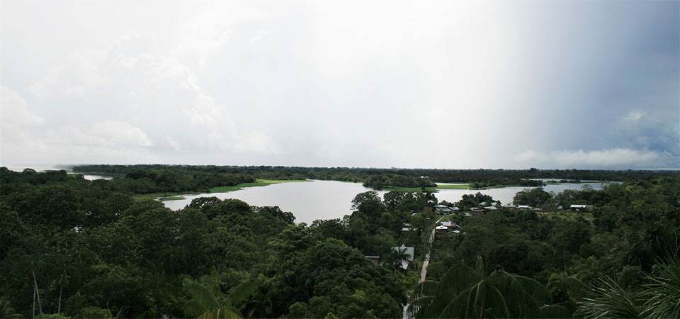puerto nariño mirador amazonas colombia picoloro ecoturismo