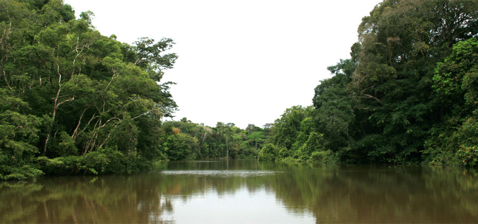 rio amacayacu amazonas colombia picoloro ecoturismo