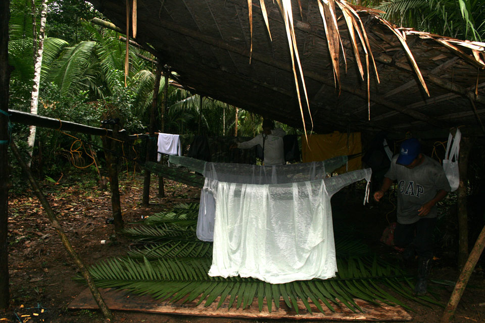 selva amazonas campamento colombia picoloro ecoturismo