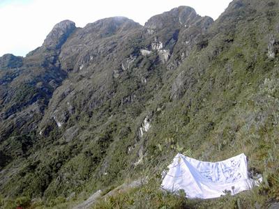 Pico El Elefante (¿ven el elefante?) desde el campamento