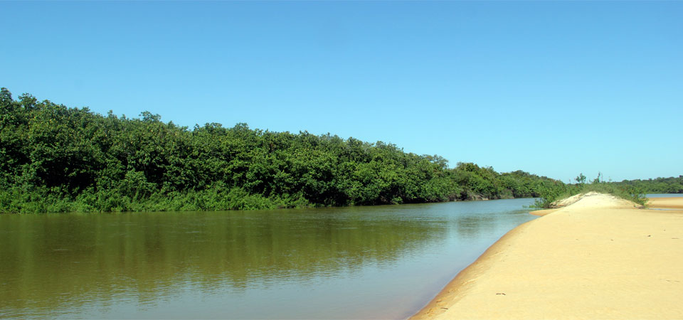 rio bita colombia puerto carreño picoloro ecoturismo