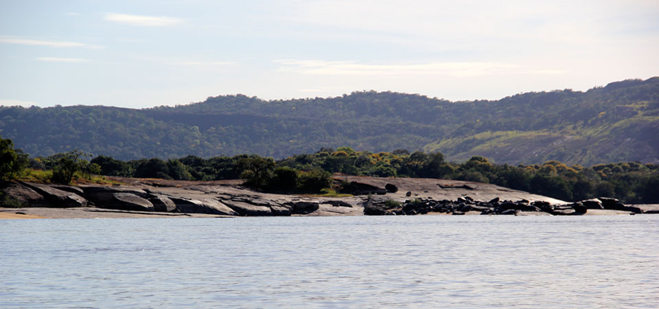 rio orinoco colombia picoloro ecoturismo