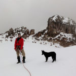 perro en el nevado del tolima