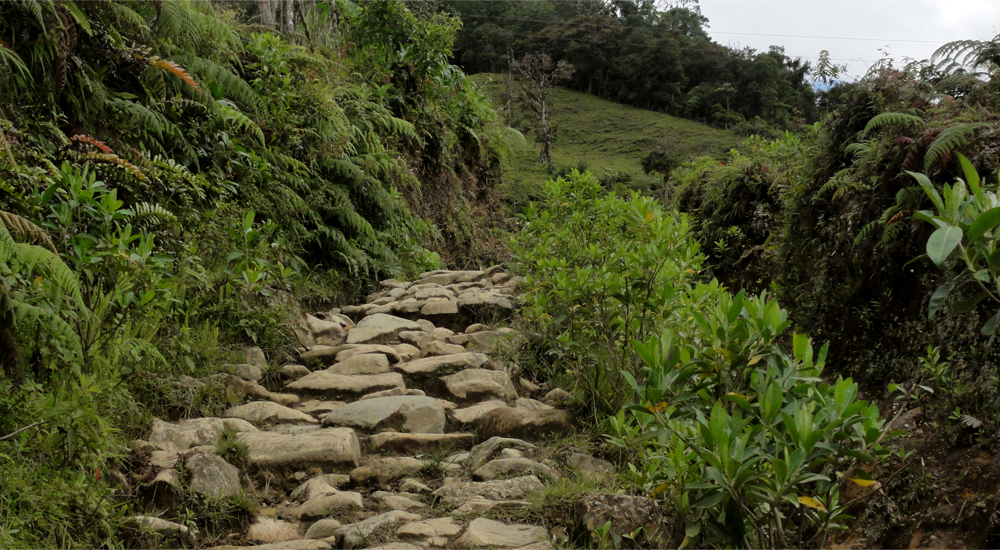 Camino Real, Cauca, Colombia