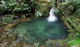 Quebrada Pericos Picoloro Ecoturismo