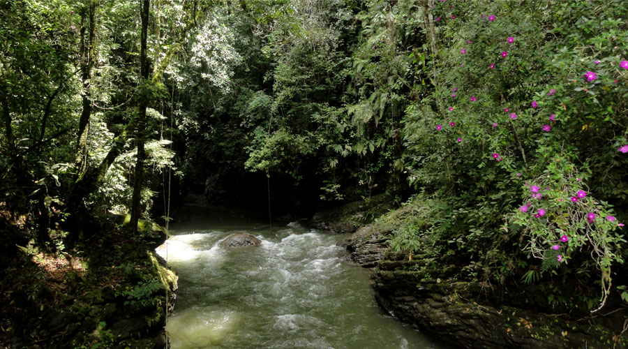 Rivering Río Claro Picoloro Ecoturismo
