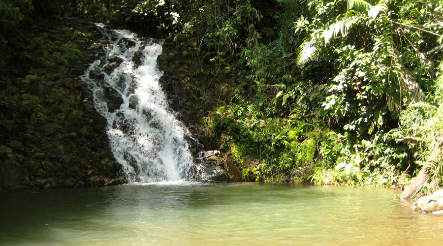 Quebrada El Teteral Ampudia Jamundí Picoloro Ecoturismo