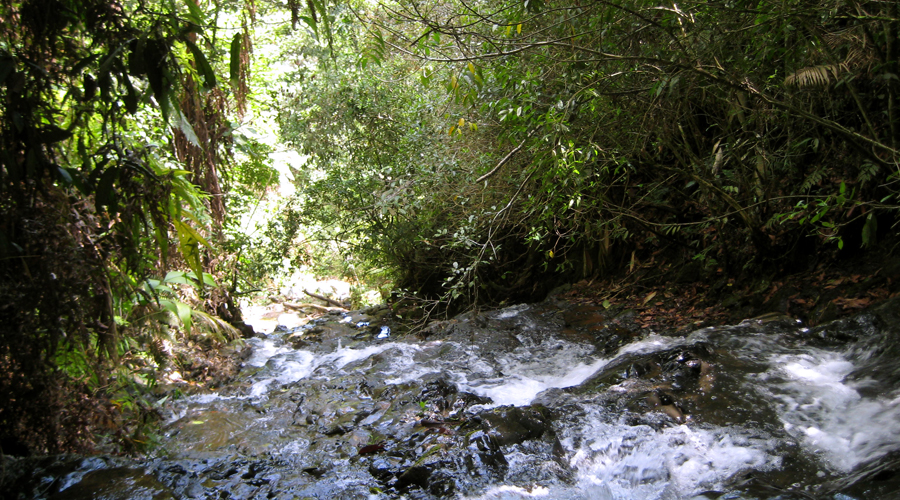 Quebrada El Teteral Ampudia Jamundí Picoloro Ecoturismo
