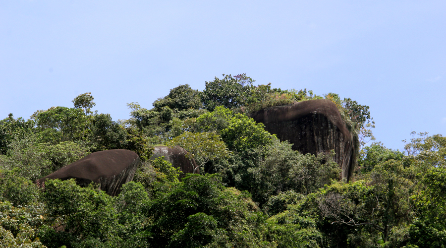 Timba Valle rocas y petroglifos Picoloro Ecoturismo