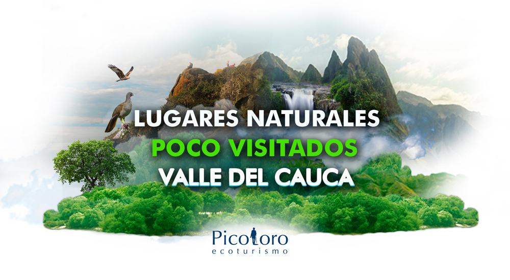 Lugares naturales Valle del Cauca Picoloro Ecoturismo