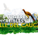 Lugares recomendados del Valle del Cauca Picoloro Ecoturismo