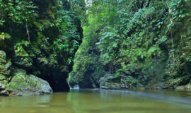 Rivering Río Claro Picoloro Ecoturismo