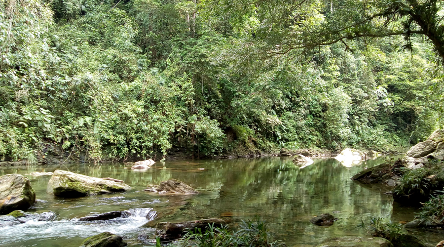 rio anchicaya farallones de cali picoloro ecoturismo