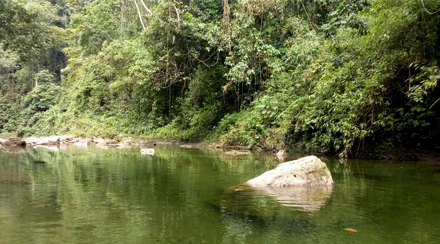 rio anchicaya farallones de cali picoloro ecoturismo