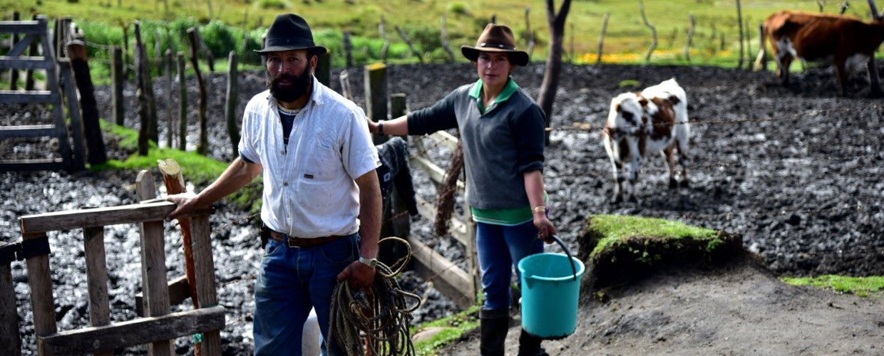 campesinos colombia