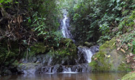 reserva natural bonanza jamundi picoloro ecoturismo