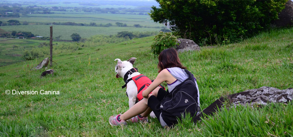 recomendaciones caminata ecologica perros picoloro ecoturismo