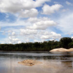 rio orinoco colombia picoloro ecoturismo